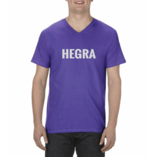 Purple Color Ultimate V-Neck Tee